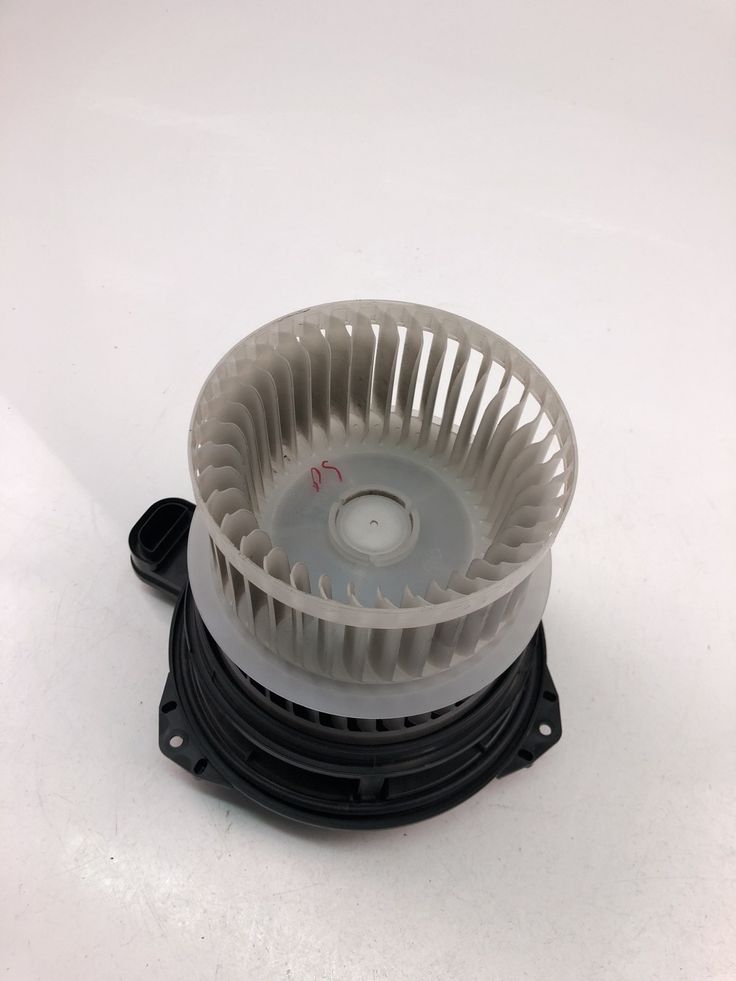 Blower Motor